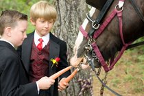 The ringboys feed the horse