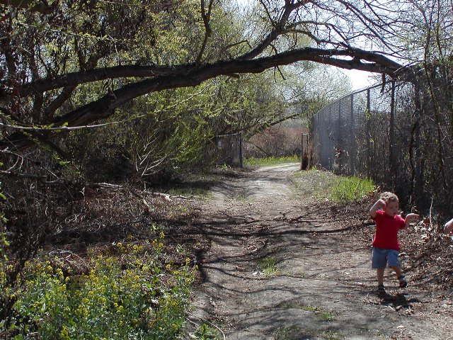 Timothy by the back bay