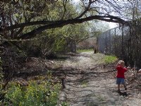 Timothy by the back bay