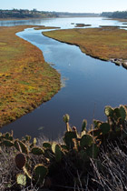 Upper Newport Bay