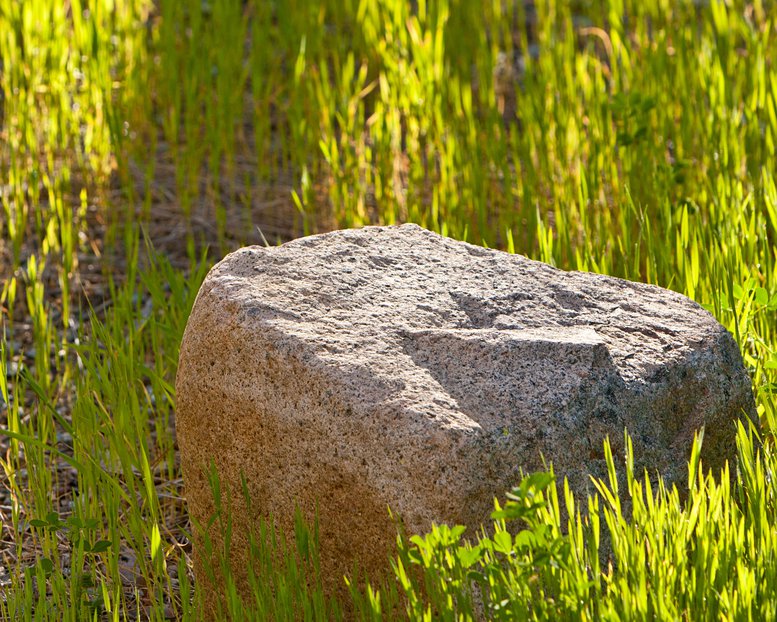 Rock And Tree Shadow