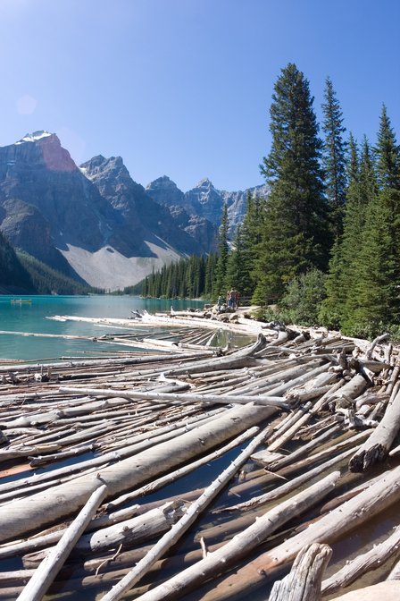 Moraine Lake Logjam