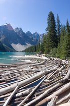 Moraine Lake Logjam