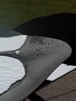 Mercury fountain, II