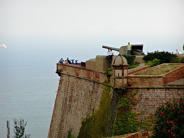Gun on the ramparts