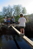 Brownies at the Back Bay