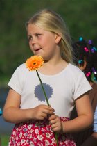 Flower shaped shadow