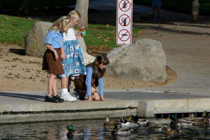 Sara, Lee, and Caitlin watch the ducks