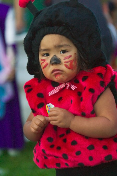 Sad Ladybug