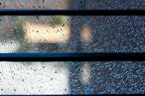 Bren Hall Broken Glass