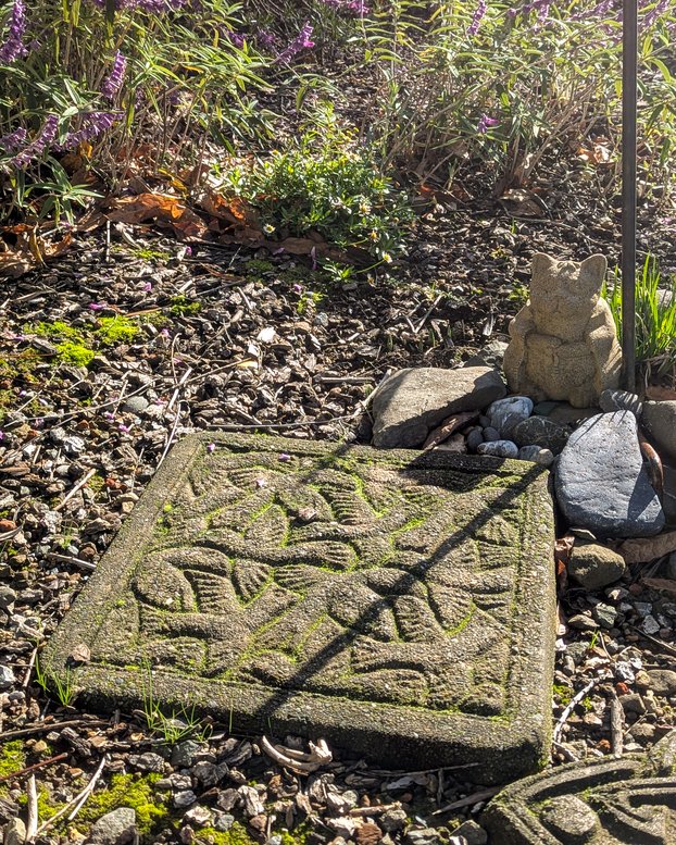 Buddha Cat dreams of Escher birds