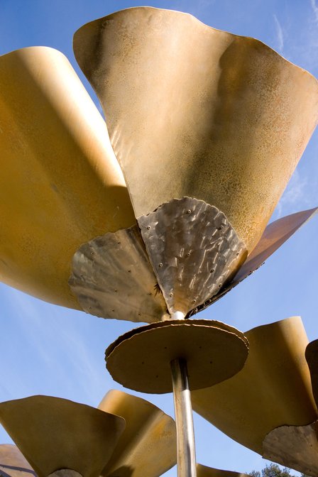 Giant Metal Poppy
