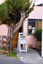 Hommas Brown Rice Sushi