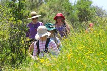 Hiking Through Flowers, I