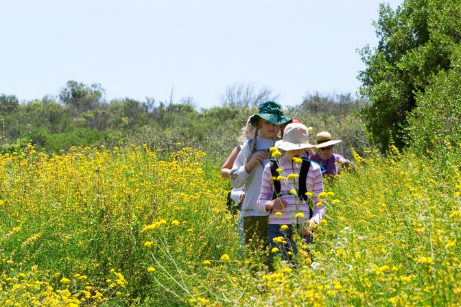 Hiking Through Flowers, II
