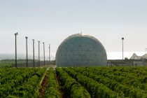 Pendleton radome