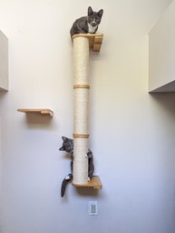 Cat Pole