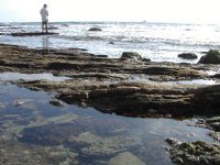 More tide pools