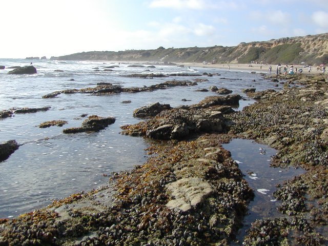 Tide pool vista