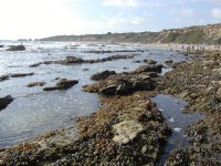 Tide pool vista