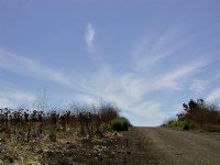 Behind University Hills