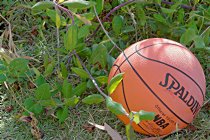 Basketball