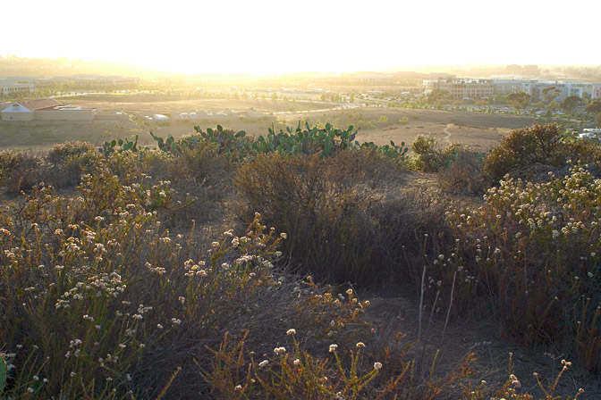 Sun-hazed view from behind the garden park