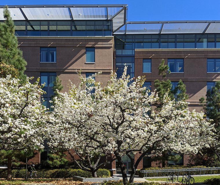 Donald Bren Hall in February