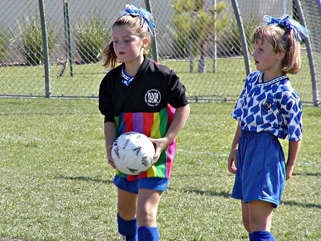 Dolphin Goalie and teammate