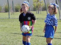 Dolphin Goalie and teammate