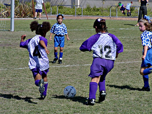 Walden and Vanessa attack