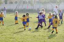 Vanessa and a Lightning Bolt face off