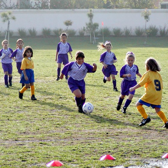 Vanessa and Chandler on the attack