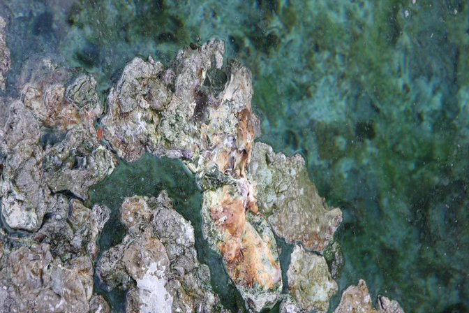 Cave And Basin Hot Springs, VI