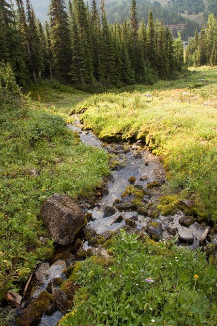 Monarch Viewpoint Trail, II