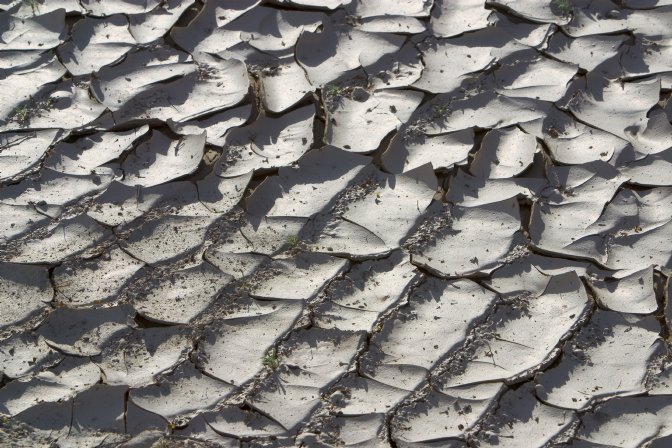 Cracked mud, Mesquite Dunes, I