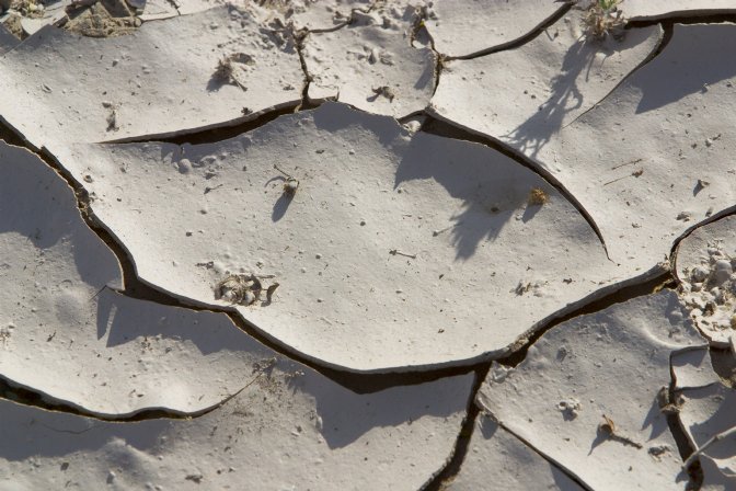 Cracked mud, Mesquite Dunes, II