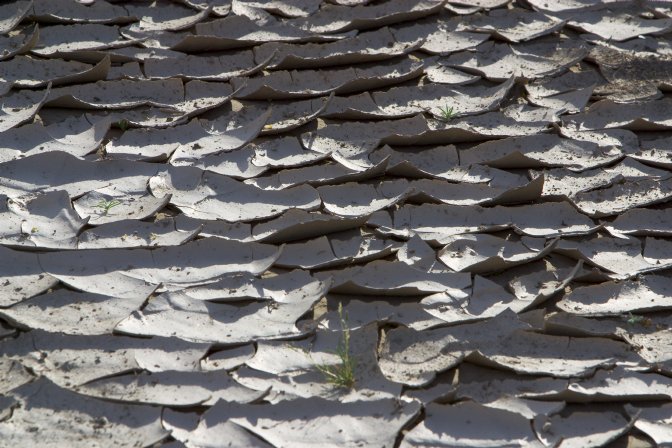 Cracked mud, Mesquite Dunes, III