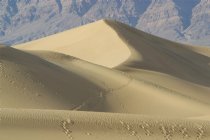 Mesquite Dunes, I