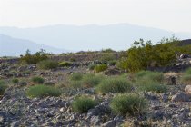 Park entrance, Death Valley Junction Road