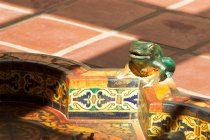 Frog fountain, Scotty's Castle