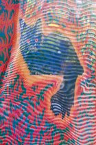 Venetian Striped Cat