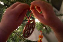 Decorating the Christmas tree