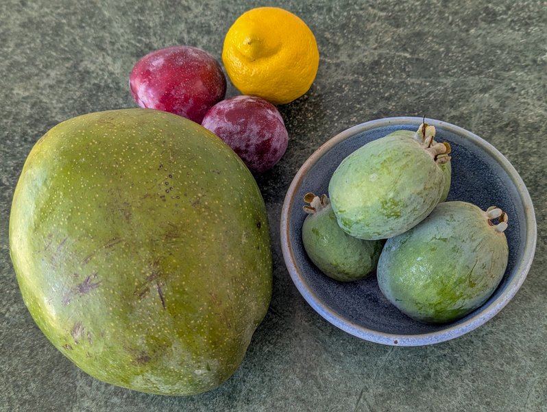 Feijoas