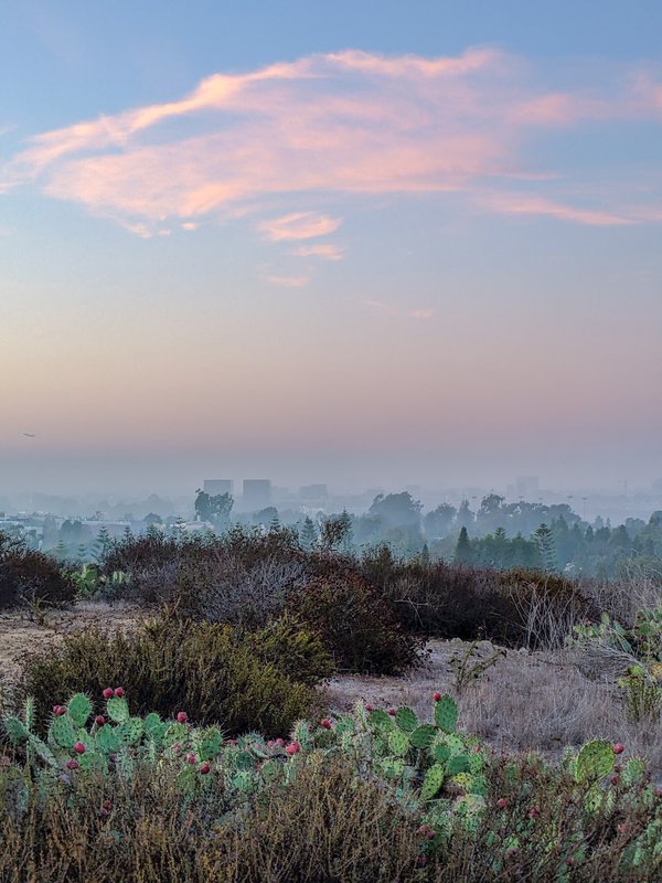 Foggy University Hills Sunset