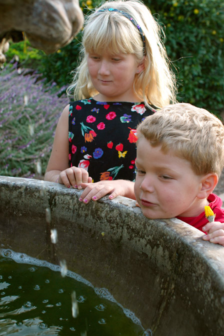 Fountain