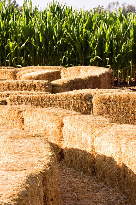 Hay Bale Spiral