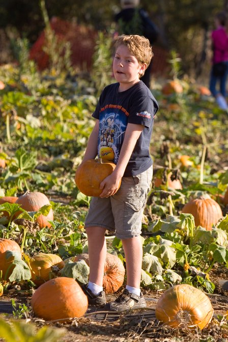 Timothy Picking Pumpkins