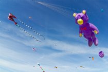 Sky full of kites