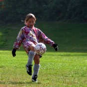 Blue-tongued Angel goalie